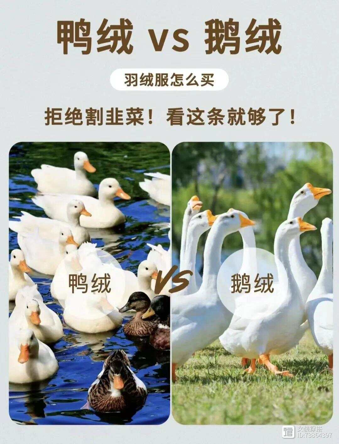 1736303439372942.png 1736303439372942.png