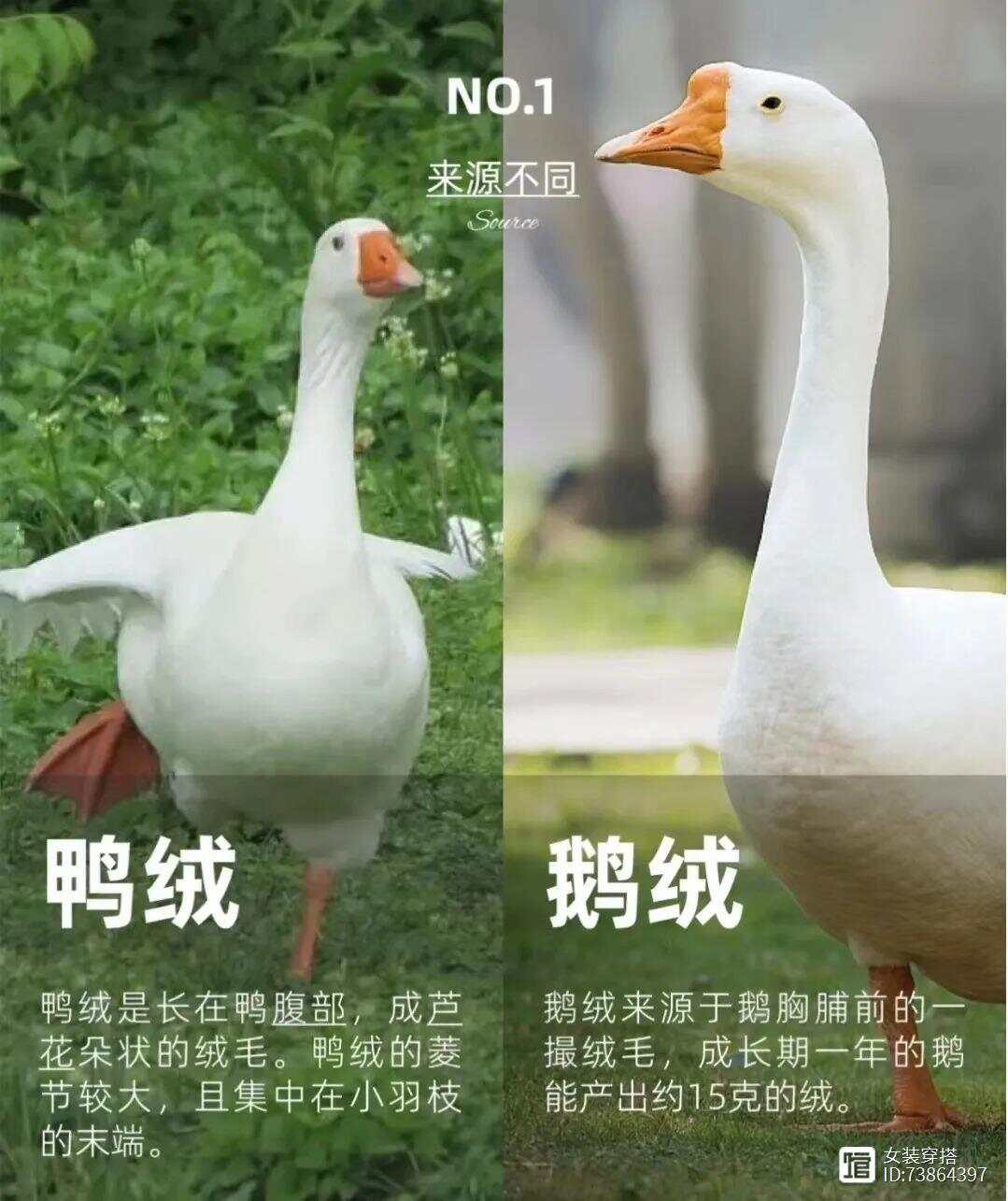 1736303466191709.png 1736303466191709.png