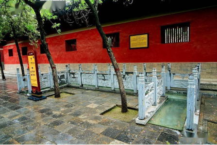 1736303874902109.png image.png